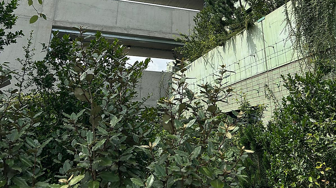 Foto-Workshop: Paradies Hamburg – Grau trifft Grün