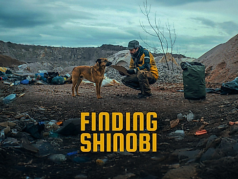 Finding Shinobi Official