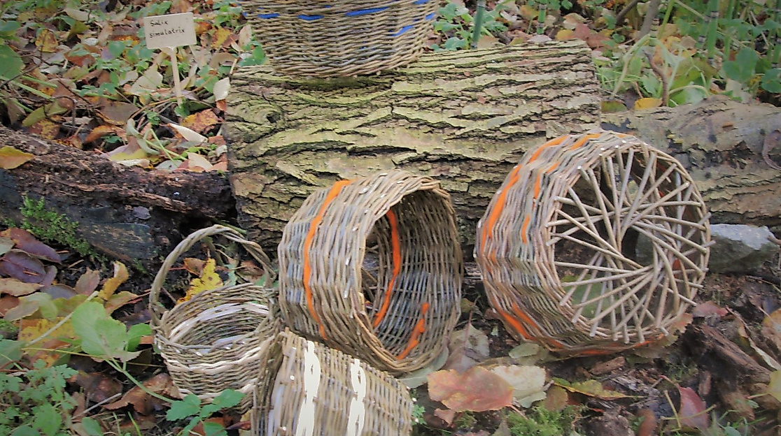 Flechtkurs - Kunstwerke aus Weiden