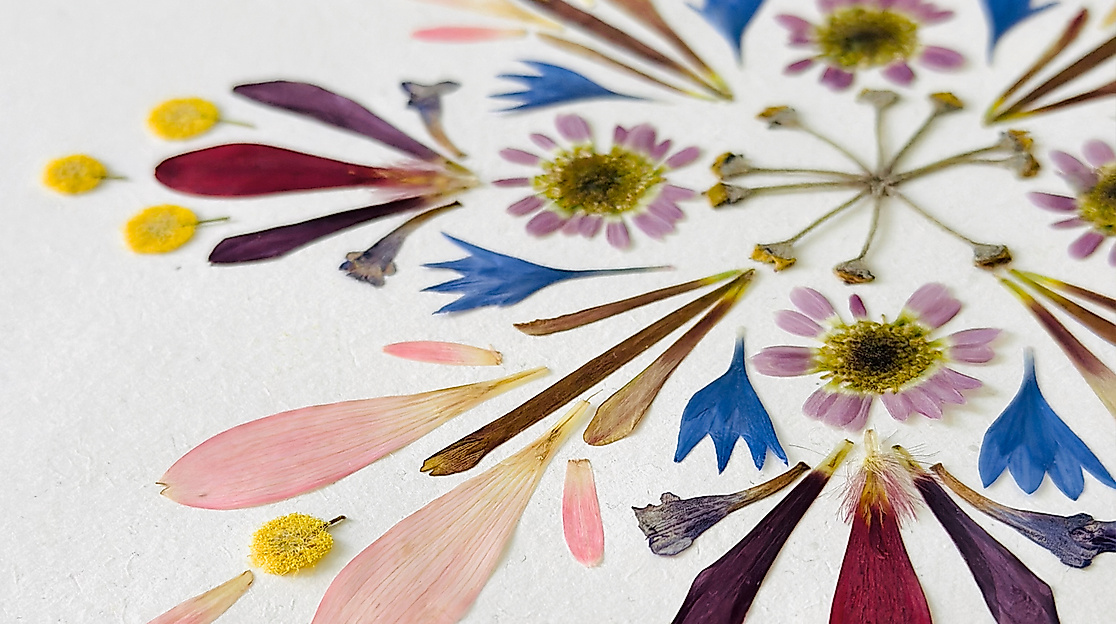 Workshop-Studio-Flor-11