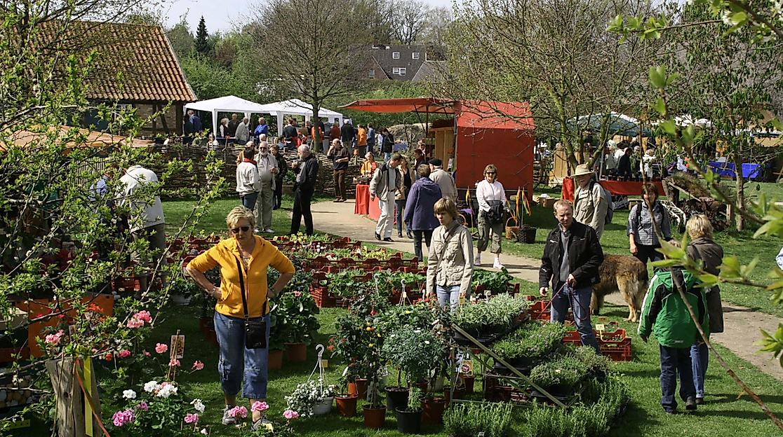 Pflanzen- und Handwerkermarkt