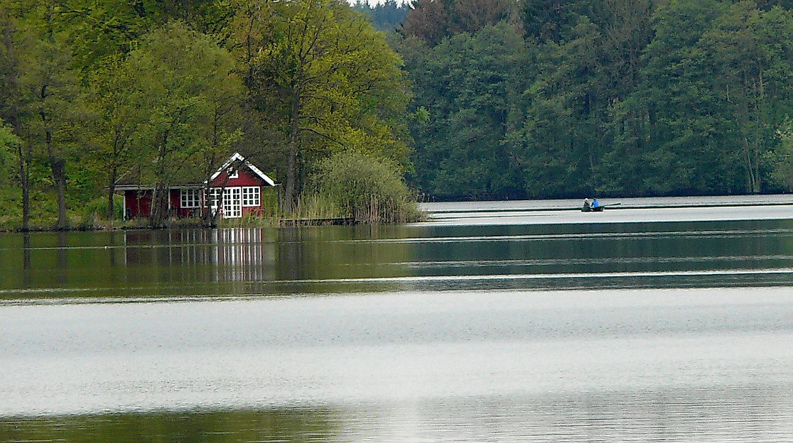 2494_grossensee_cpetra_huebner