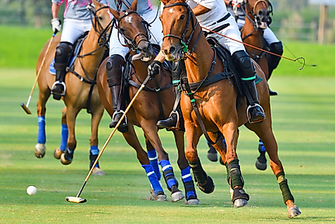 Polospiel in Hamburg