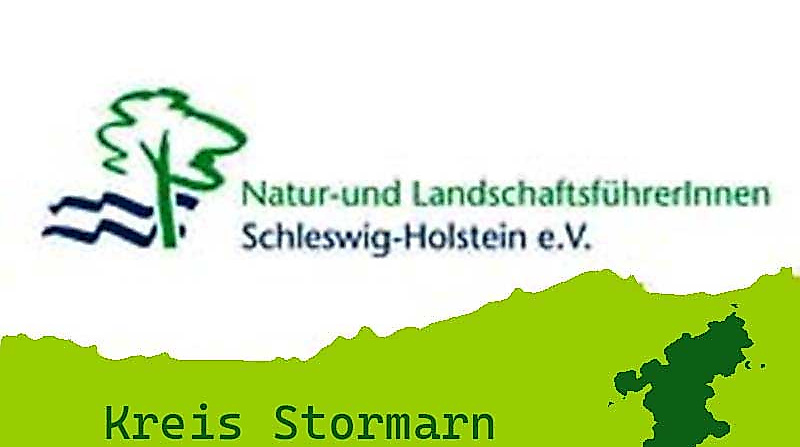 Kreis Storman Illustration