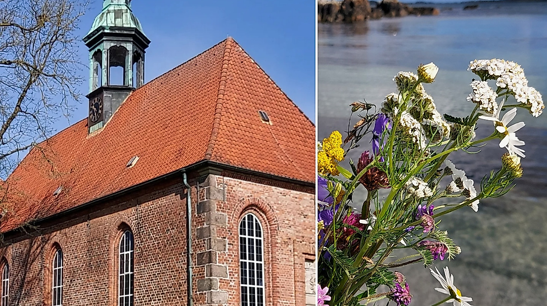 Außenansicht Schloßkirche - Blumen am Strand vor Wasser