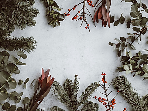 Weihnachtsdeko aus Naturmaterialien