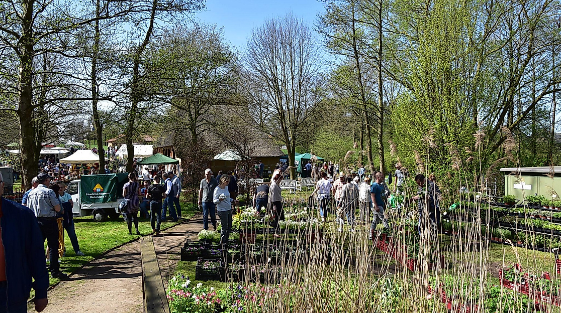 Pflanzen- und Handwerkermarkt