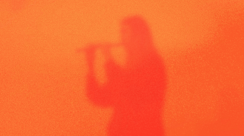 Schattenflötist im Orange