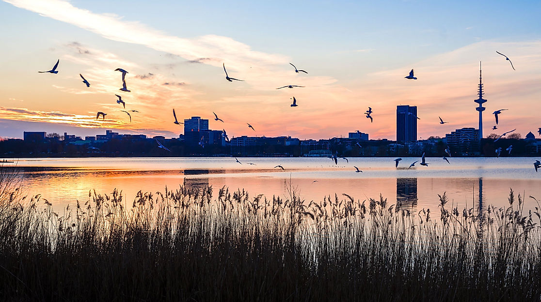 Außenalster Winter