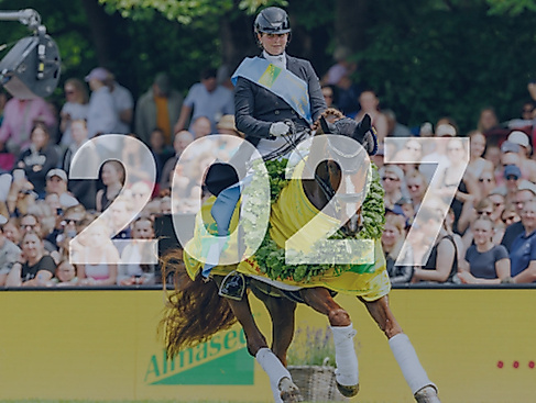 Tageskarte Sonntag Dressur 2027