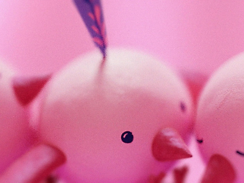 Mo&amp;Friese heben ab