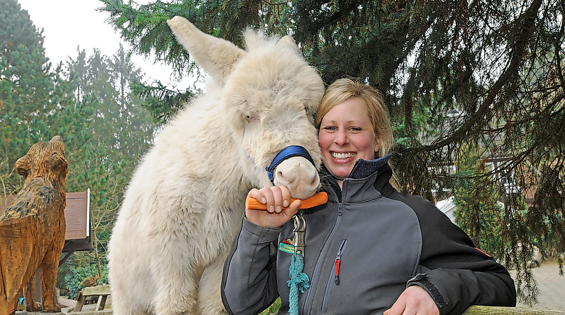 Triff den Tierplfeger im Wildpark Schwarze Berge
