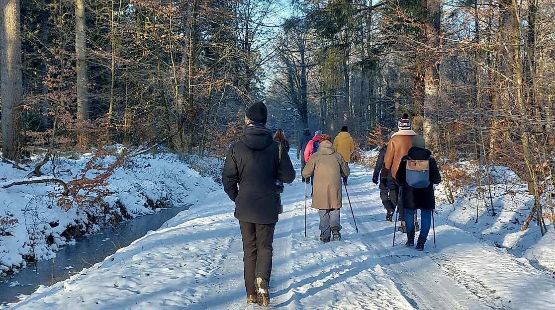 Wanderung im Großen Haaler Gehege