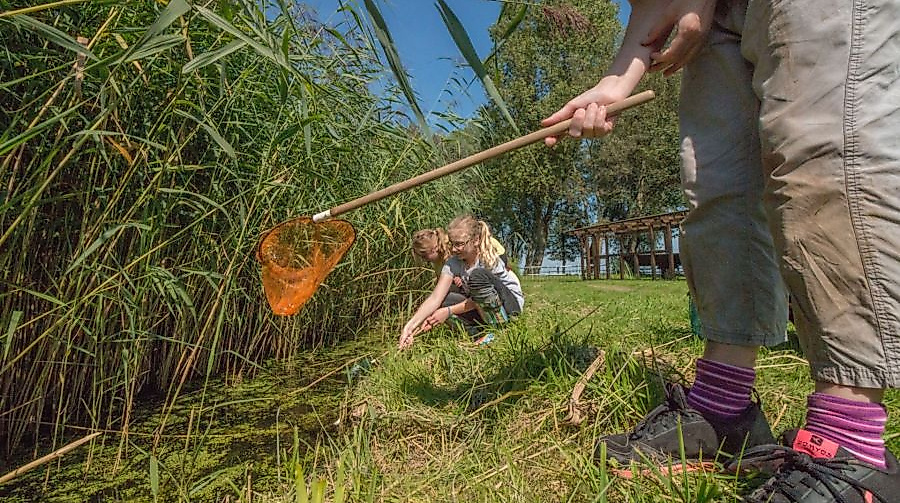 Forschen im Wasserland