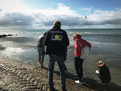 Bernsteinführung am Strand