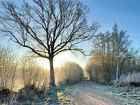 Pilgern durch die Jahreszeiten