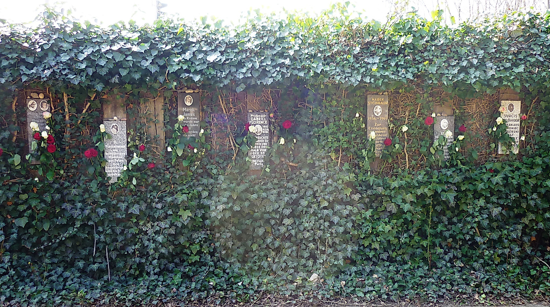 bullenhuser_damm_rosengarten_c-iris_groschek_kz_gedenkstaette_neuengamme