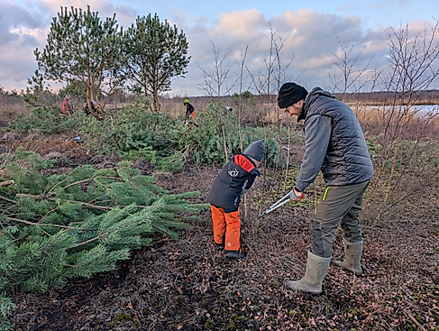 Kleine Helfer können großes Bewirken