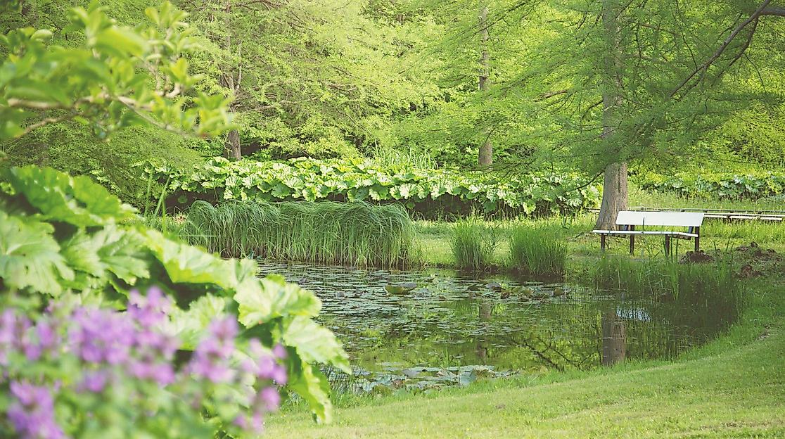 Kurparkführung