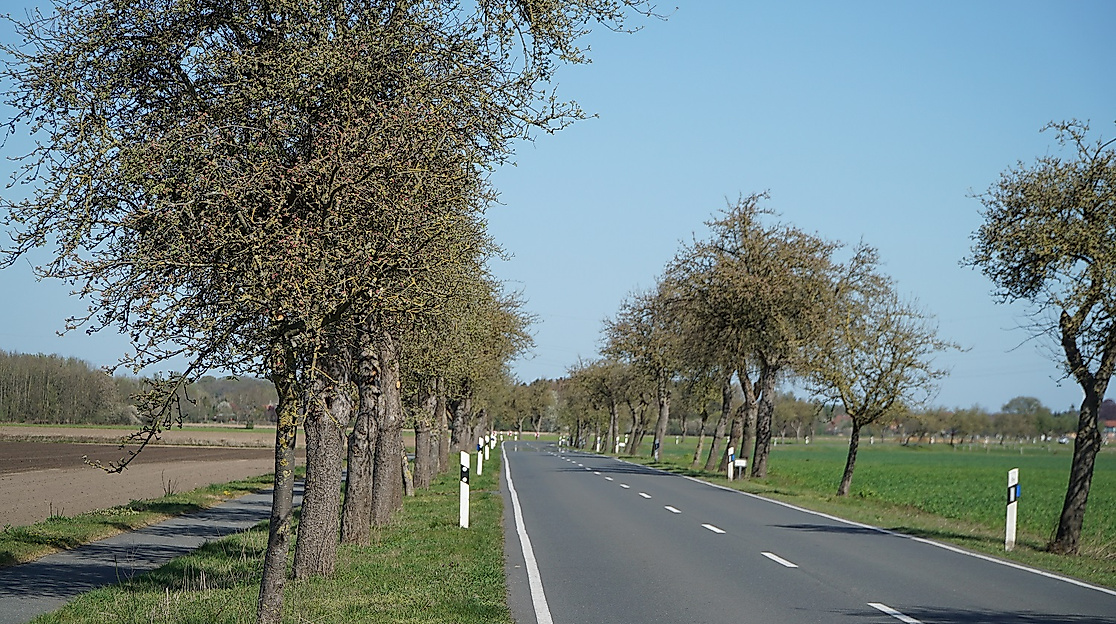 Apfelbaumallee-k