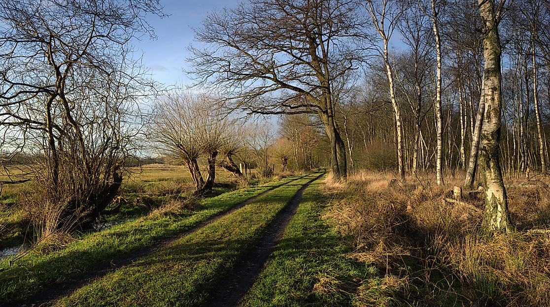 Duvenstedter Brook