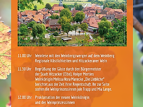 2025-09-30 14_50_56-Flyer 41. Weinlesefest in Hitzacker (Elbe).pdf - Adobe Acrobat Reader (64-bit)
