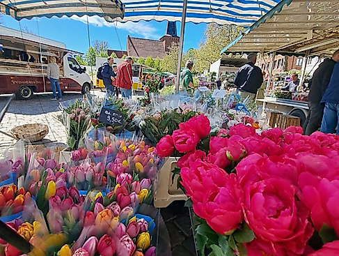 Blumen auf dem Wochenmarkt