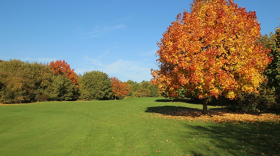 golfanlage-bad-bevensen_c-bad-bevensen-4