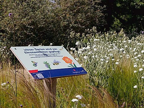 Artenvielfalt Workshop