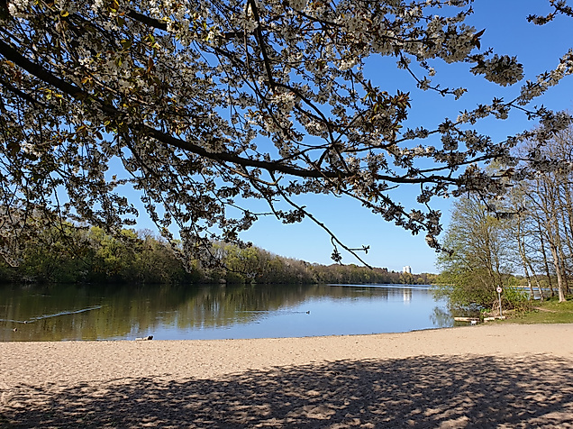 Öjendorfer Park