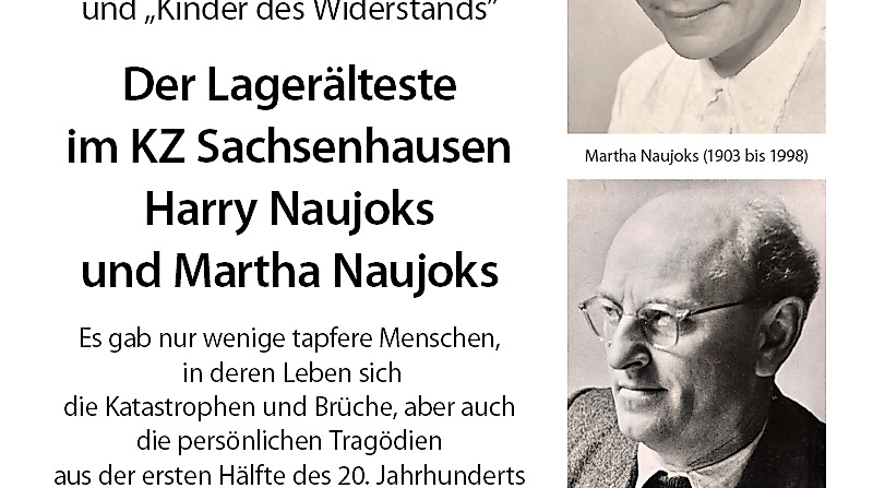 wdg_naujoks_171126