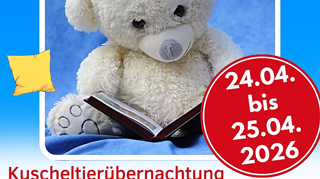 kuscheltieruebernachtung