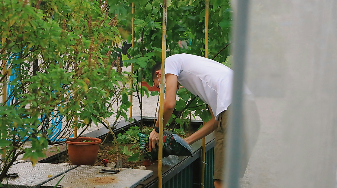 Urban Farming