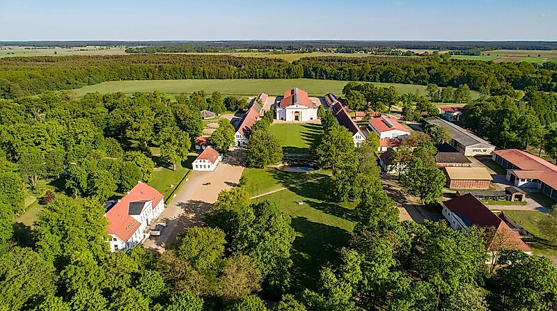 Führung über das Landgestüt Redefin - Erleben Sie das Landgestüt Redefin bei einer geführten Besichtigung (KPK)