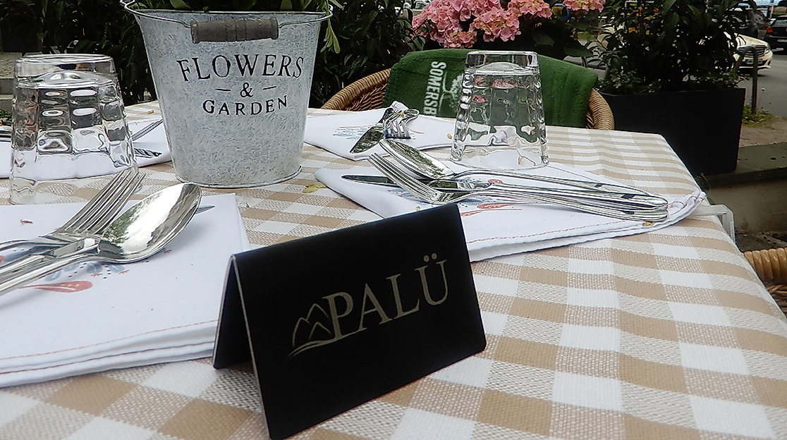 Palü