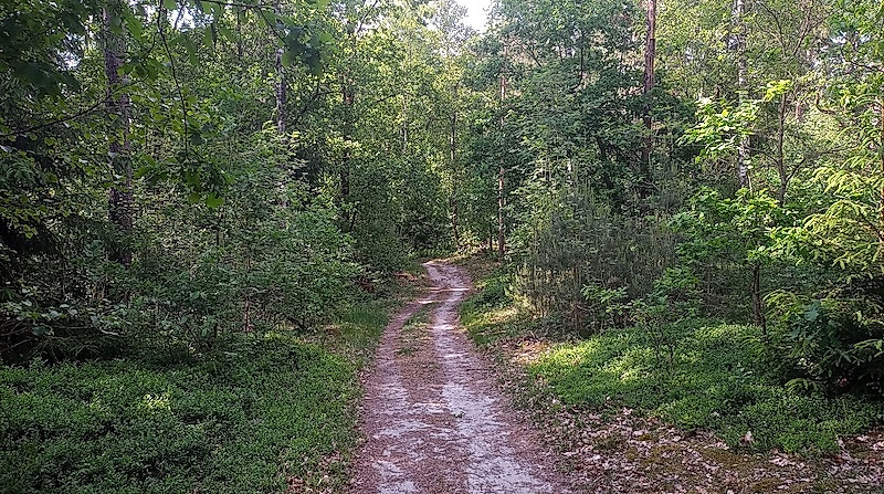 Auenlandschaft und historische Stätten an der Wipperau bei Oldenstadt