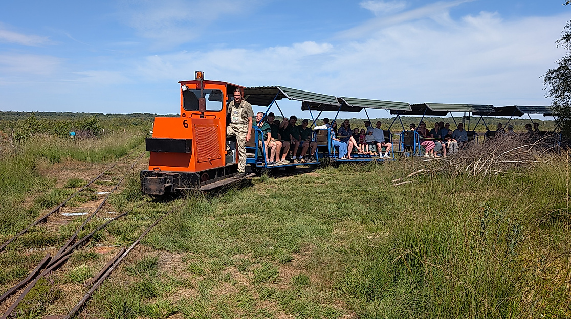 Torfbahn mit Besucher im Himmelmoor