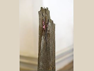 26-04-19 Rahel Bruns Till Steinbrenner