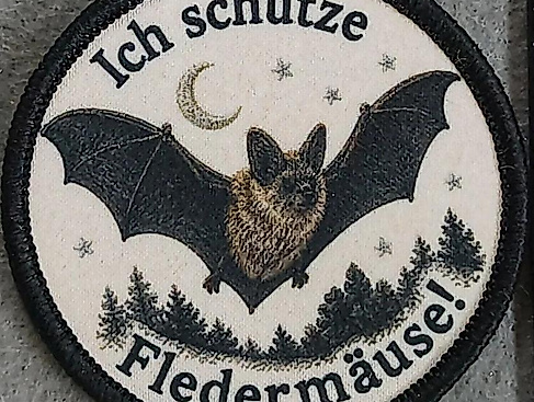 Kinder-Fledermaus-Führerschein