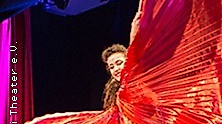 Galli Silvester Show