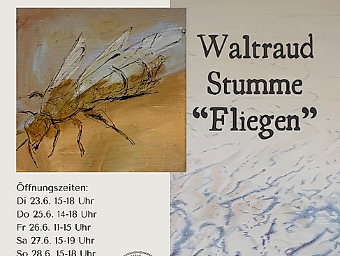 waltraud stumme fliegen flyer