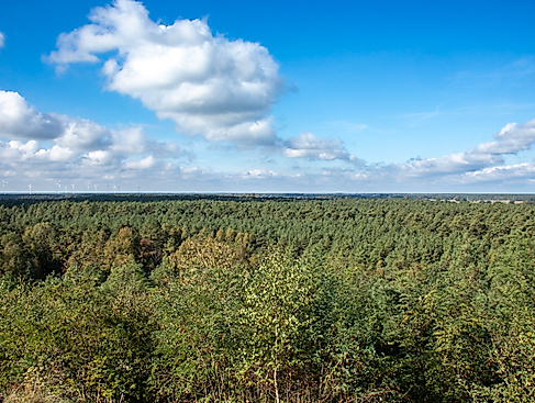 Aussicht vom Wietzer Ölberg