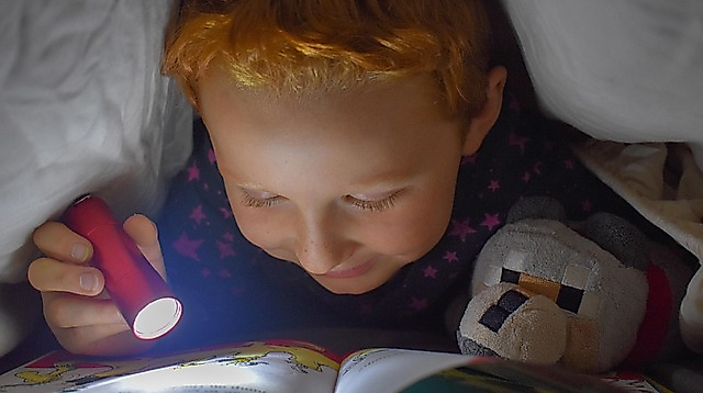reading-5069826_640