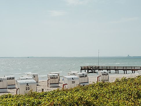 rettin-im-fruehling-talb-joelle-doernath1