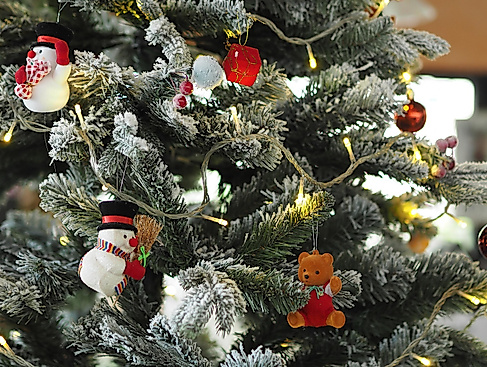 christmas-tree-1081317_1920