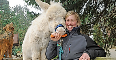 Wildpark Schwarze Berge