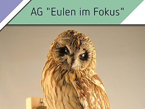 AG "Eulen im Fokus: Gemeinsam für den Artenschutz"