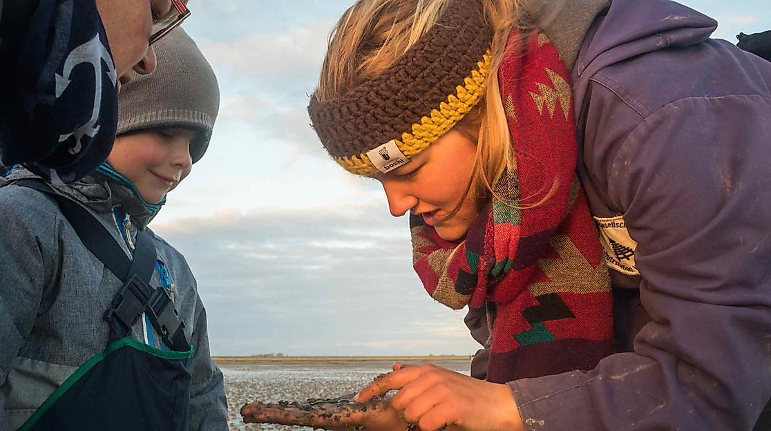 Wattwanderung für Familien: Das Watt entdecken!