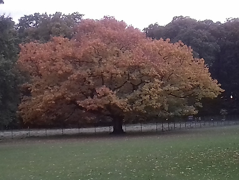 Am Reformationstag nach Wittenberg