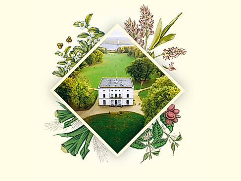 SHMH_JH-Parkomania_Onlineformate_1920x1080-pur